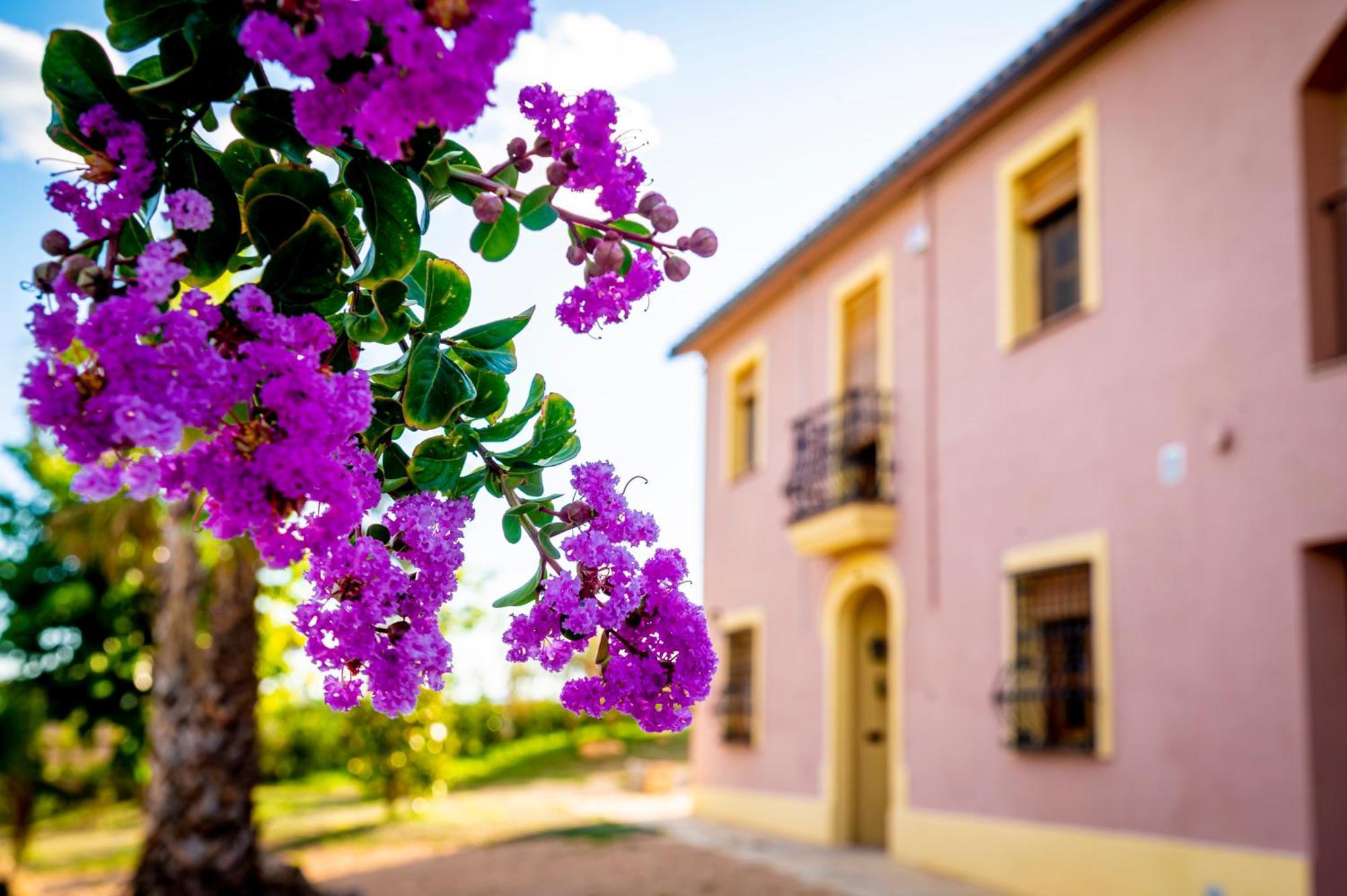 Masia Cal Magi Vila Font-Rubi Exterior foto